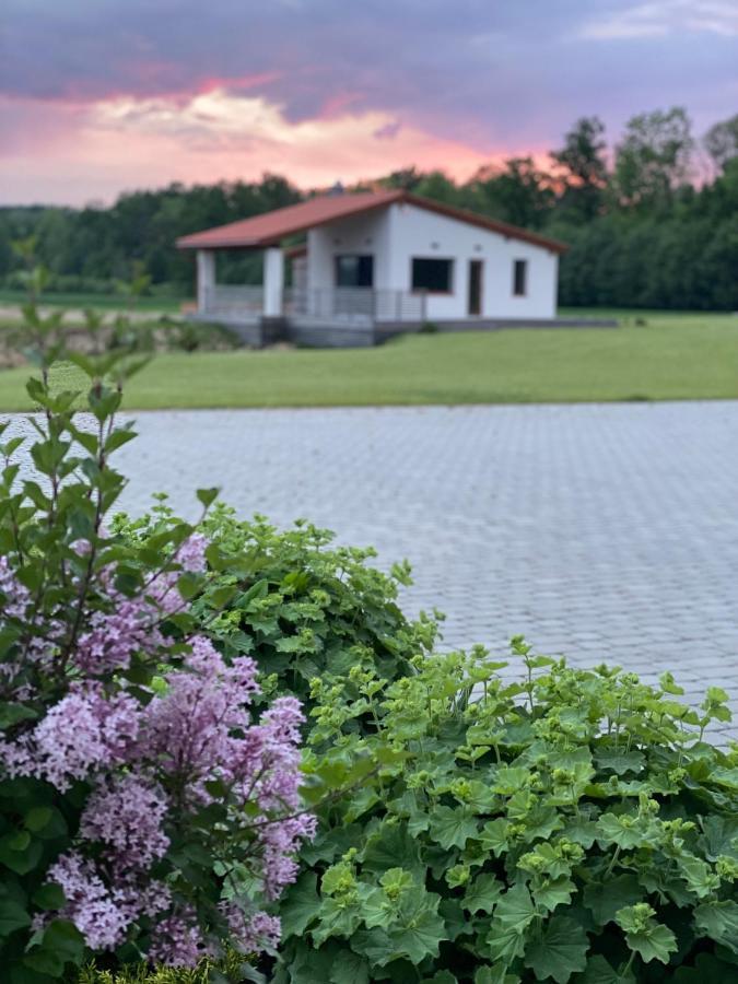 Sodyba Peledu Medus Vainekoniai Exterior foto